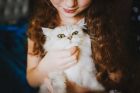 Имате котка за домашен любимец? Тогава задължително трябва да се научите да „говорите“ с нея! Имате котка за домашен любимец? Тогава задължително трябва да се научите да „говорите“ с нея!